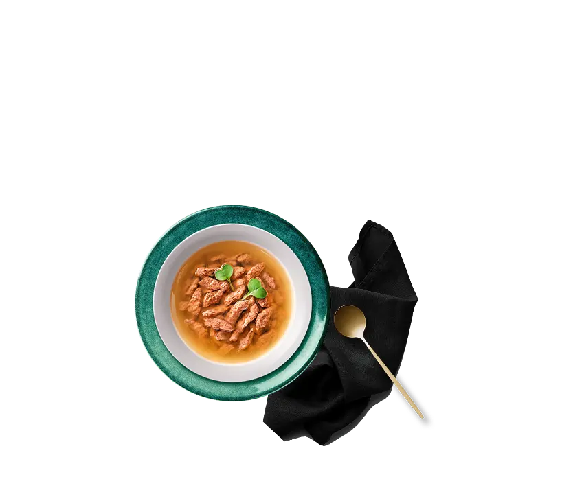 Влажный корм для кошек Sheba